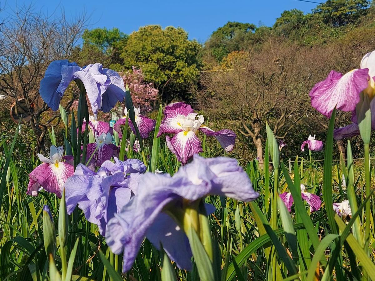 レインボー ブリッジ B＆B 三芝区 エクステリア 写真