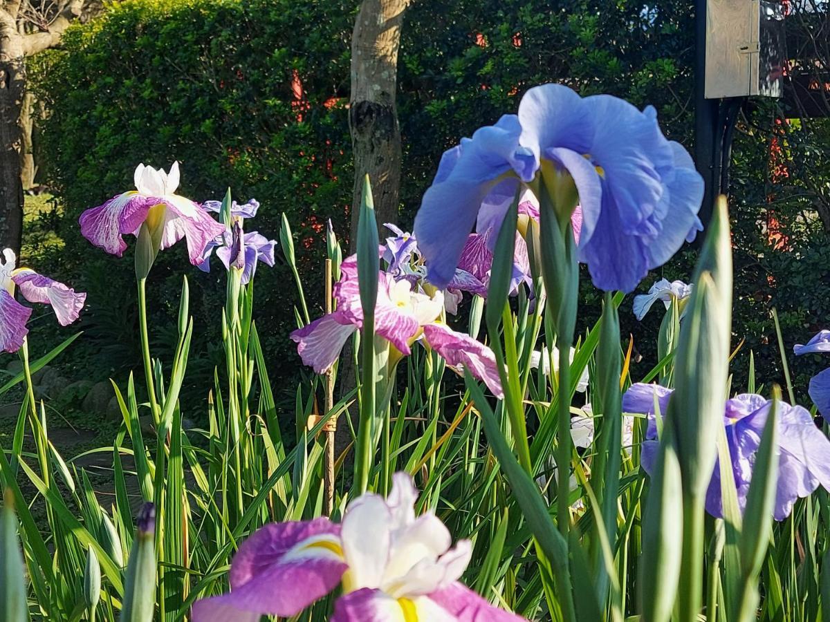 レインボー ブリッジ B＆B 三芝区 エクステリア 写真